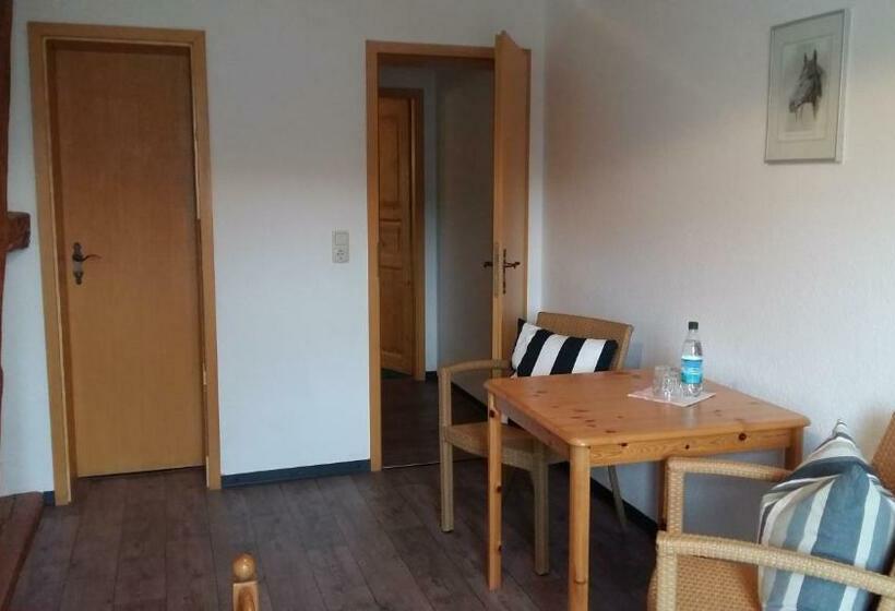 スタンダードルーム, Pension Redefin