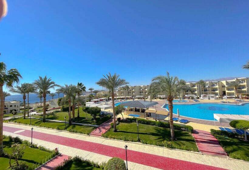 سوییت با چشم‌انداز استخر, Grand Oasis Resort
