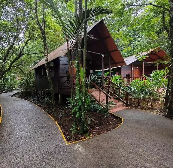 スタンダードルーム, Evergreen Lodge