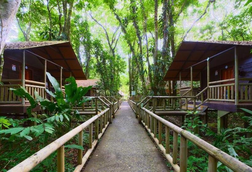 غرفة قياسية, Evergreen Lodge