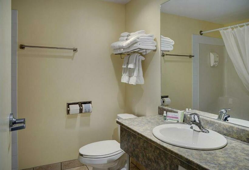 غرفة قياسية, Lakeview Inns & Suites  Okotoks