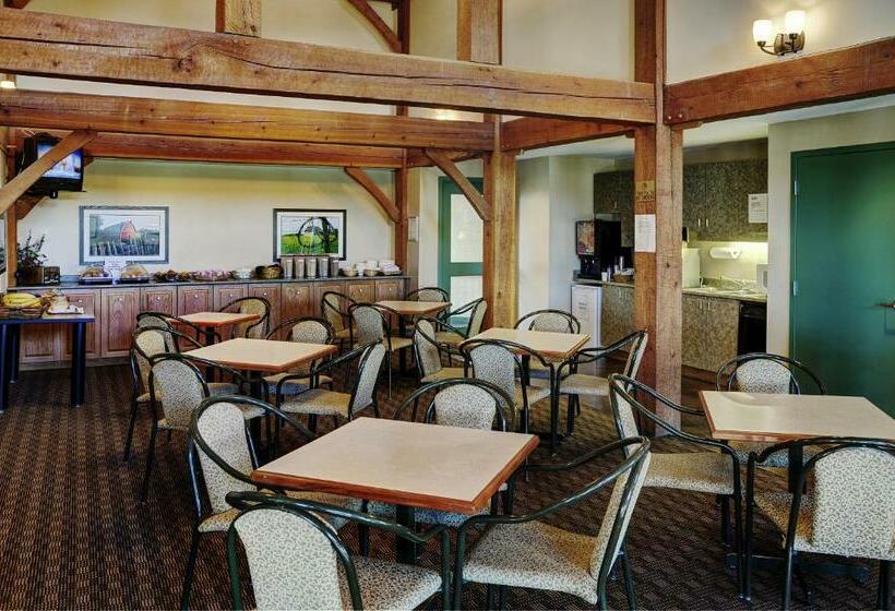 جناح جونيور, Lakeview Inns & Suites  Okotoks