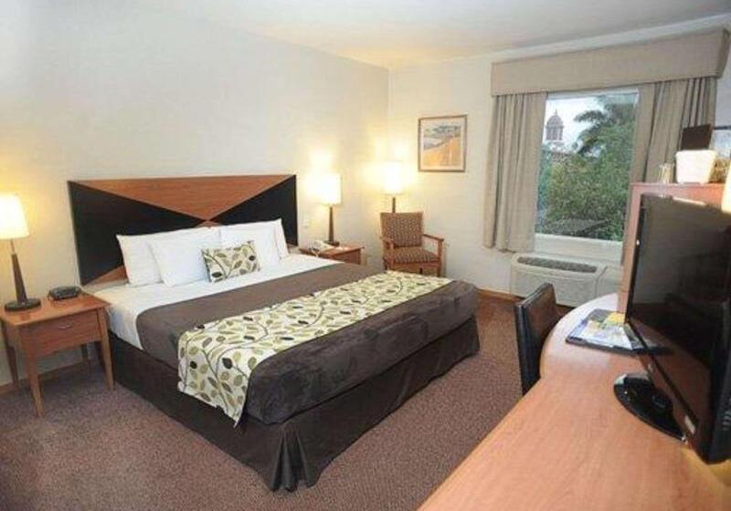 스탠다드 룸 킹사이즈 침대, Sleep Inn Paseo Las Damas