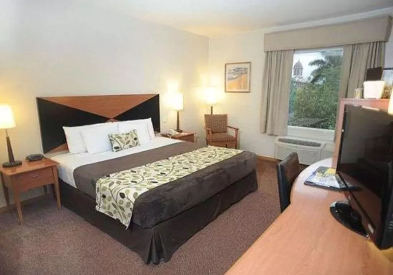 اتاق استاندارد با تخت بزرگ, Sleep Inn Paseo Las Damas