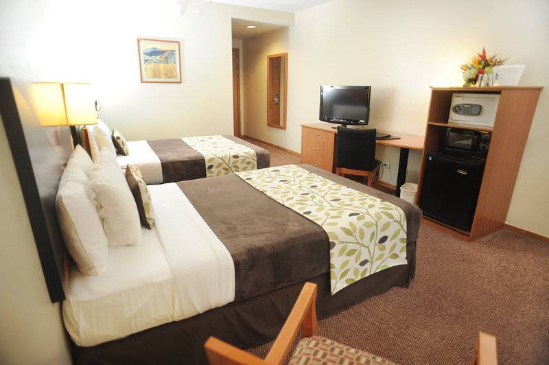 标准间, Sleep Inn Paseo Las Damas