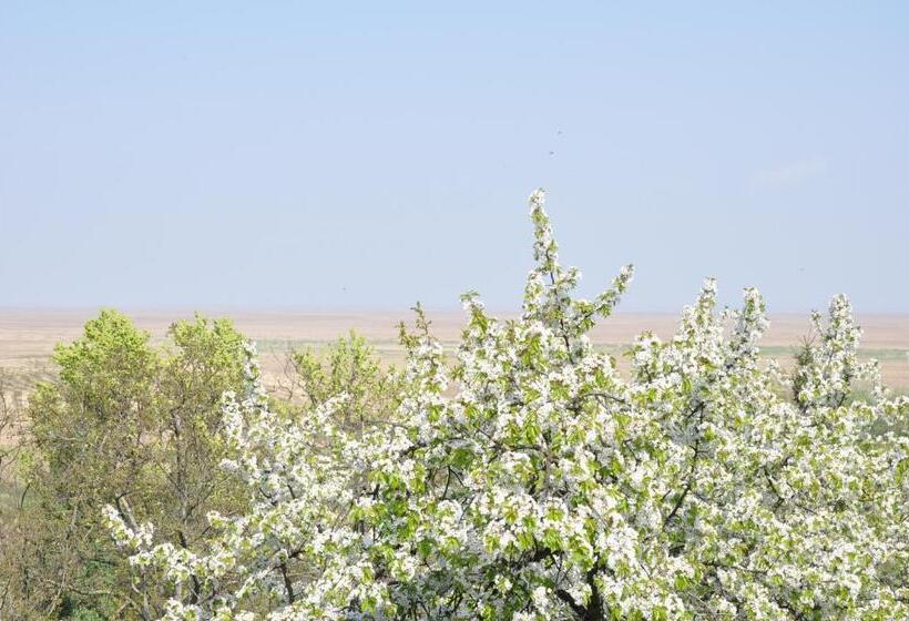 스탠다드 룸, Gloriett Panzió