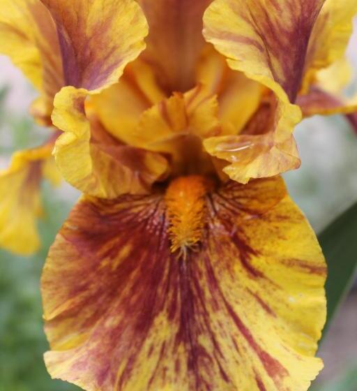 Номер Стандарт, Fogadó A Suttogóhoz