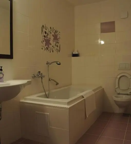 キングサイドベッドのスタンダードワンルーム, Restaurace A Hotel Amerika