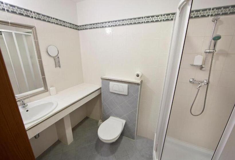 Номер Стандарт, Rozmaryn Rooms & Apartments