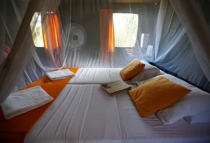 Standard Tent, Explorer By Eco Team  Gal Oya National Park