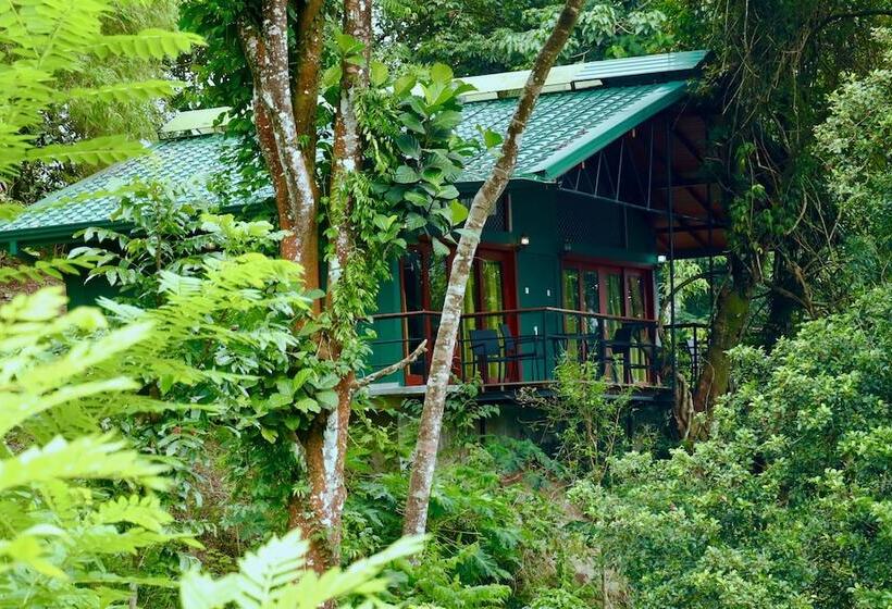 标准间带双人床, Paradise Eco Garden