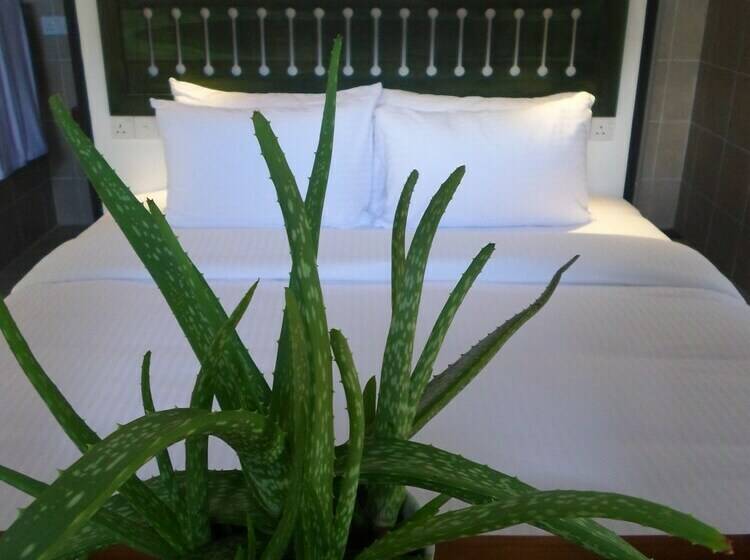 シャレー・デラックス1寝室, Sennya Resorts