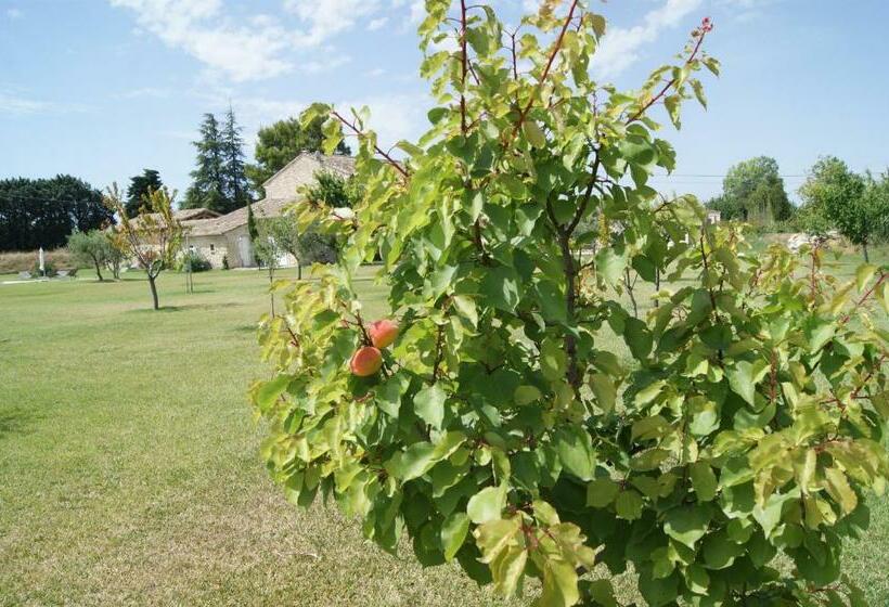 חדר דלוקס עם מיטת קינג, B&b Dans Mas En Pierres