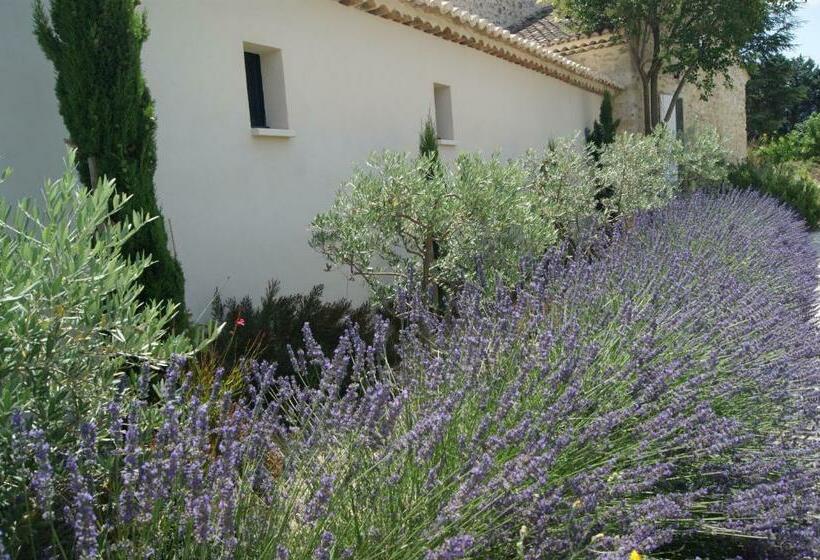 חדר דלוקס עם מיטת קינג, B&b Dans Mas En Pierres