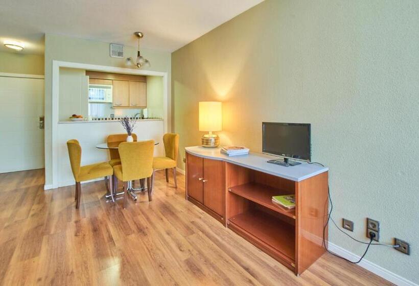 1 Bedroom Deluxe Apartment