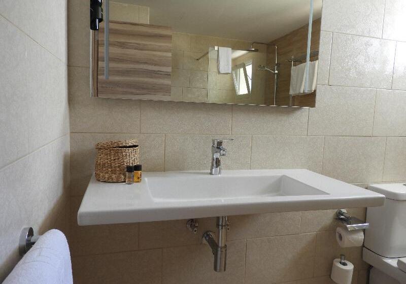 شقة سوبريور غرفة واحدة, Apartamentos Santa Rosa