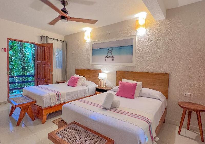 スタンダードルーム, Hulku