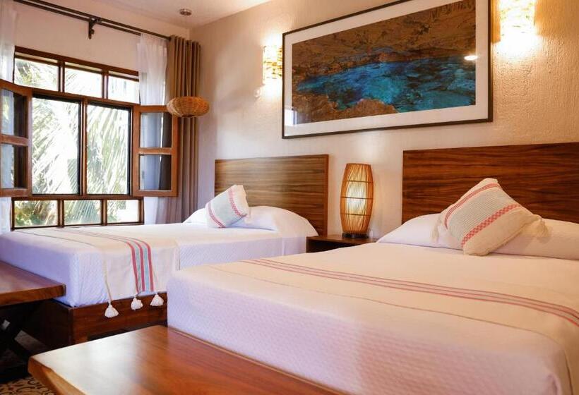 スタンダードルーム, Hulku