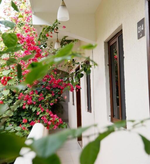 キングサイズベッドのスイートルーム, Hulku