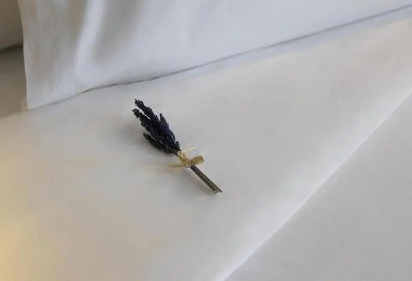 اتاق لوکس با تراس, Icon Embassy