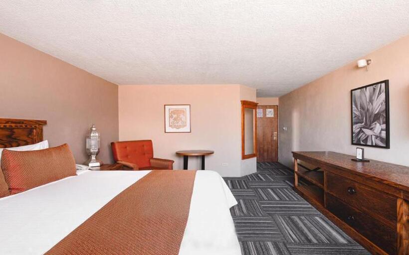 Номер Стандарт, Real De Minas San Miguel De Allende