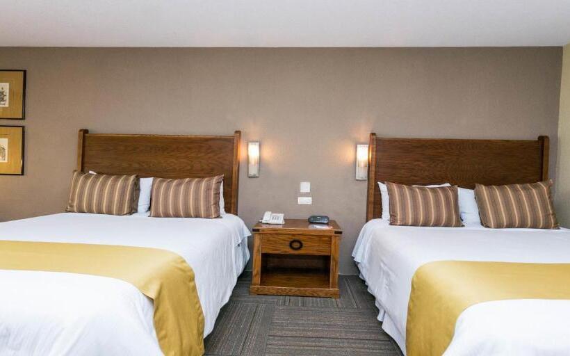 스탠다드 룸, Real De Minas San Miguel De Allende