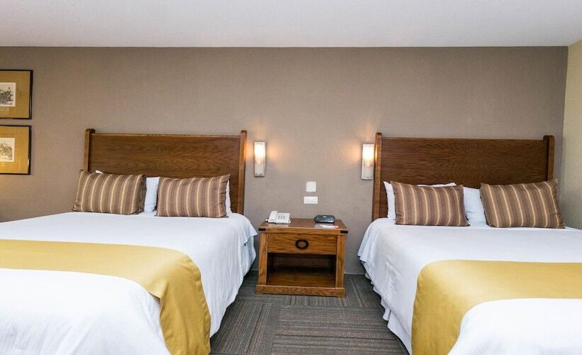 Номер Стандарт, Real De Minas San Miguel De Allende