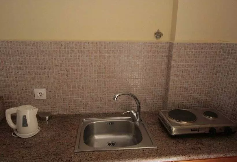 استودیوی استاندارد, Village Inn Studios & Family Apartments
