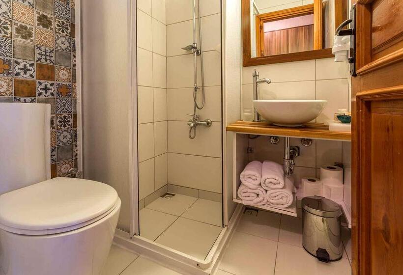 غرفة قياسية مطلّة علي البحر, Aquarius