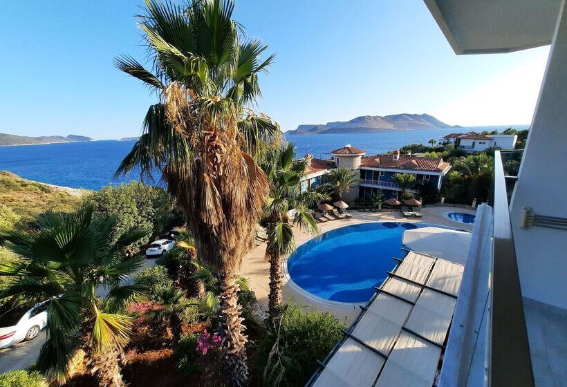 غرفة قياسية مطلّة علي البحر, Aquarius