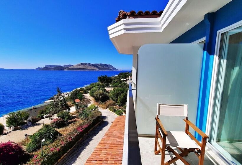 غرفة قياسية مطلّة علي البحر, Aquarius