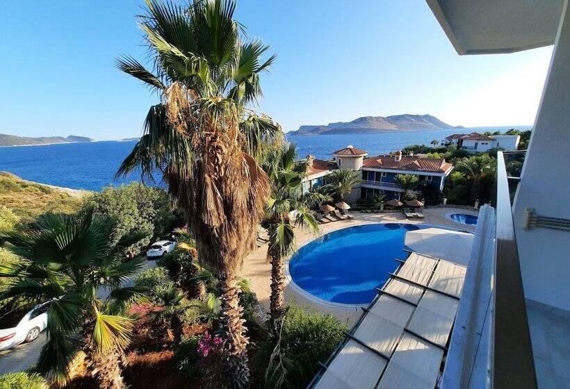 غرفة قياسية مطلّة علي البحر, Aquarius