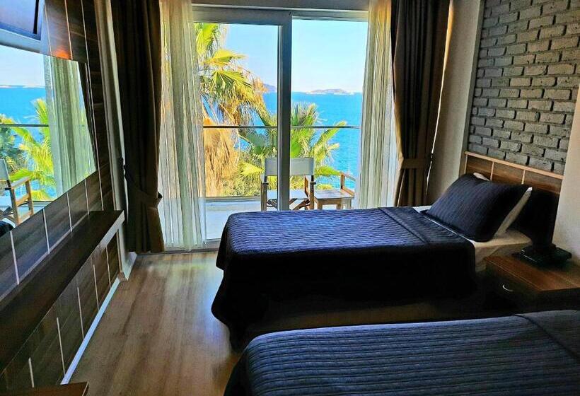 غرفة قياسية مطلّة علي البحر, Aquarius