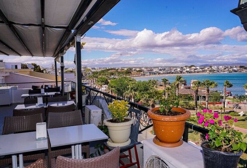 غرفة قياسية رباعية, Arden