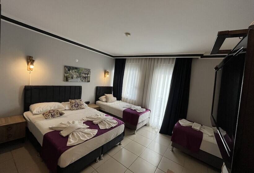 Camera Standard, Lunay