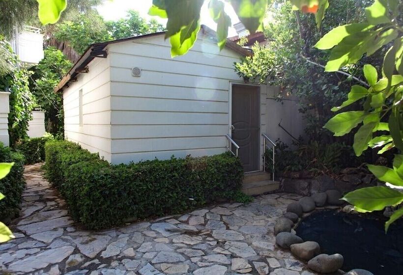 Номер Стандарт, Navy