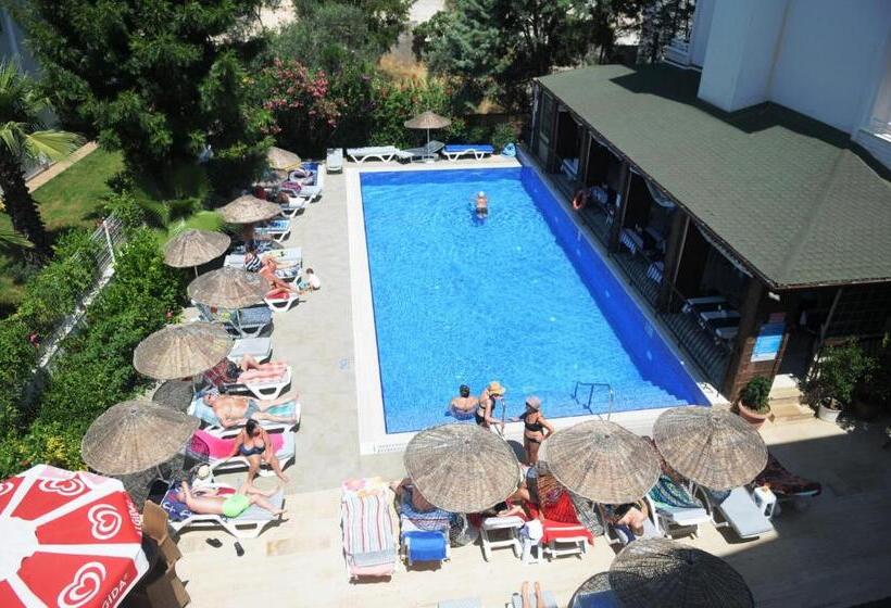 Номер Стандарт, Navy