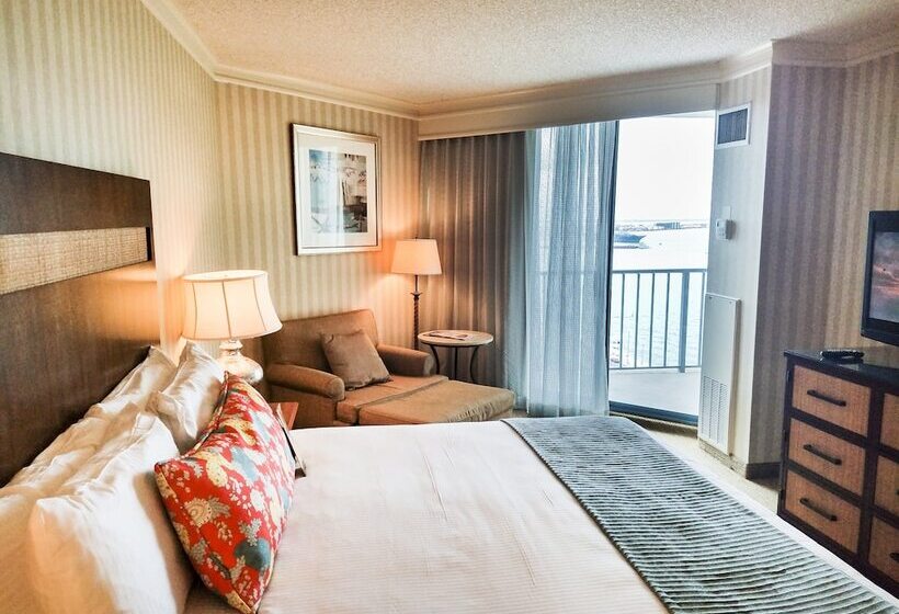 غرفة ديلوكس, Omni Corpus Christi