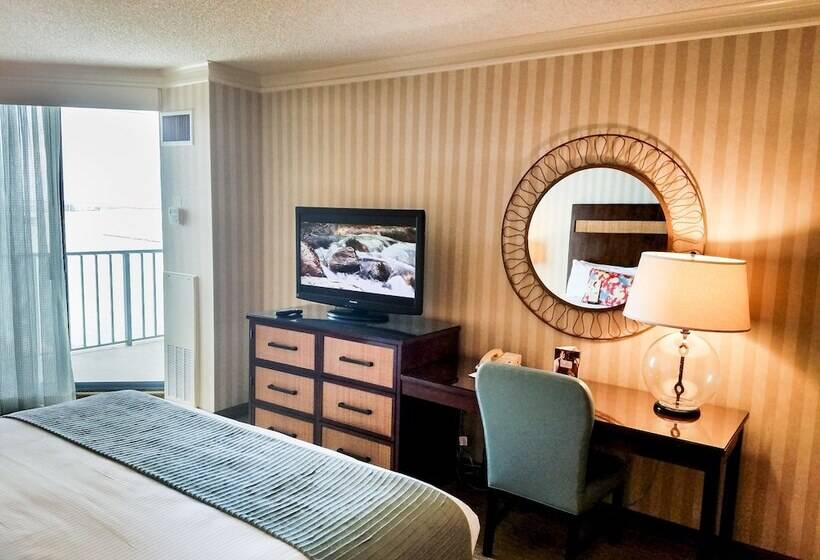 디럭스 룸, Omni Corpus Christi