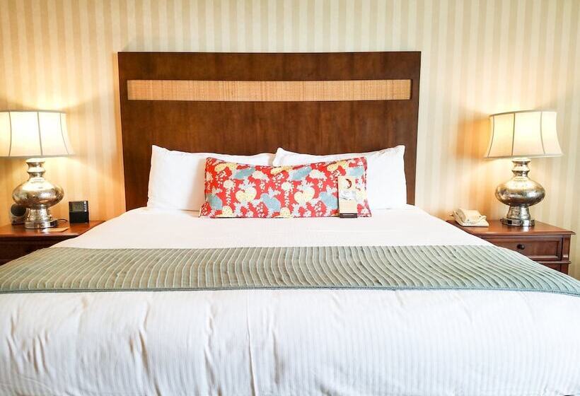 디럭스 룸, Omni Corpus Christi