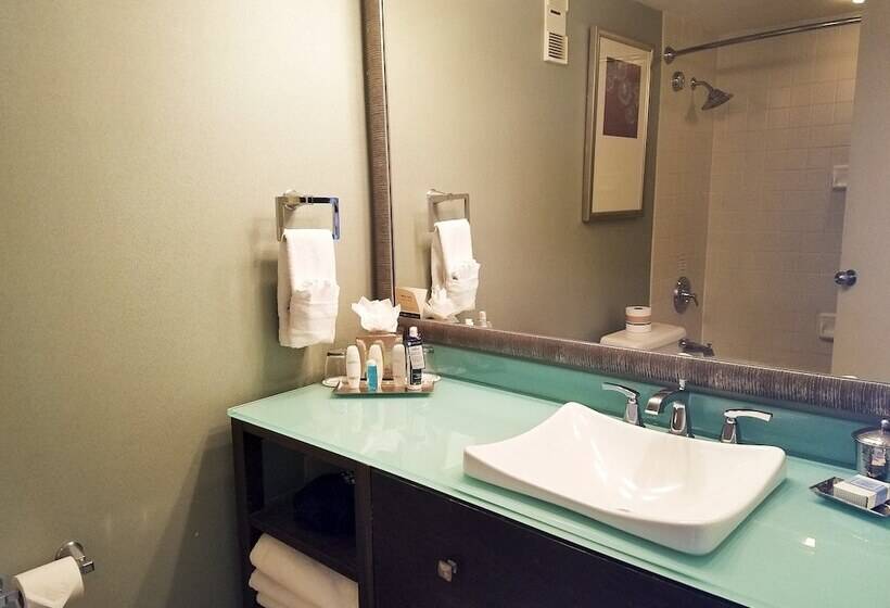 프리미엄 룸, Omni Corpus Christi