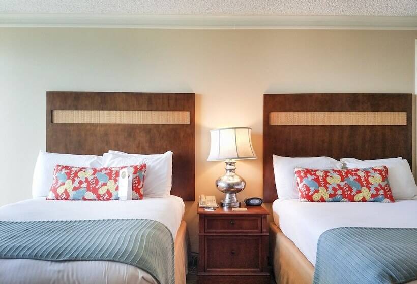 غرفة بريميوم, Omni Corpus Christi