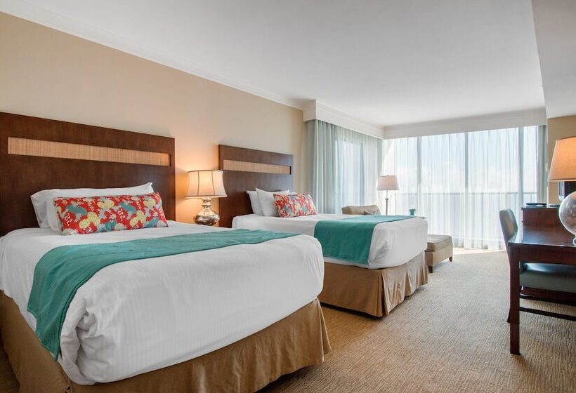 프리미엄 룸, Omni Corpus Christi