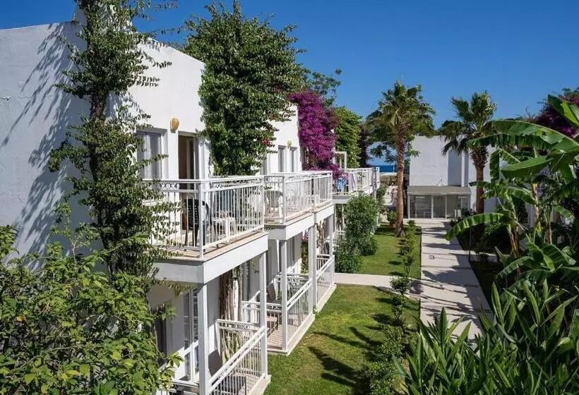 Perhehuone, Petunya Beach Resort