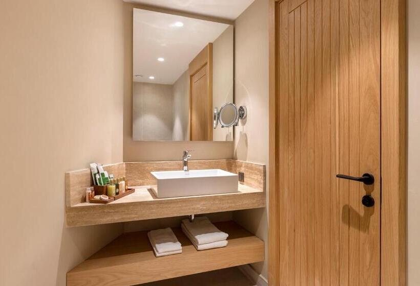 جناح ديلوكس, Rixos Premium Tekirova, The Land of Legends Access