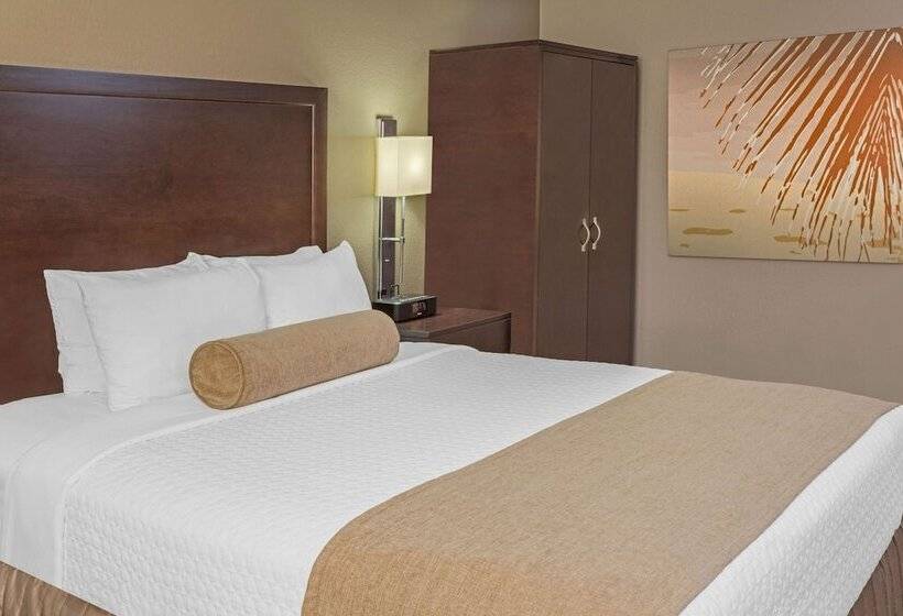 غرفة ديلوكس, Sonesta Miami Airport