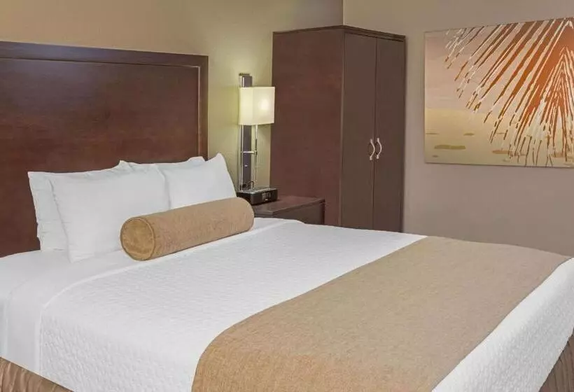 障害者適応デラックスルーム, Sonesta Miami Airport
