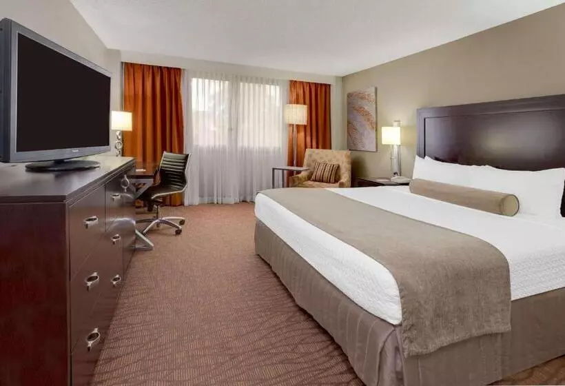 キングサイズベッドのエクゼクティブルーム, Sonesta Miami Airport