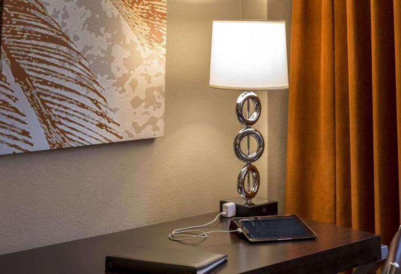 غرفة ديلوكس سرير كينج, Sonesta Miami Airport