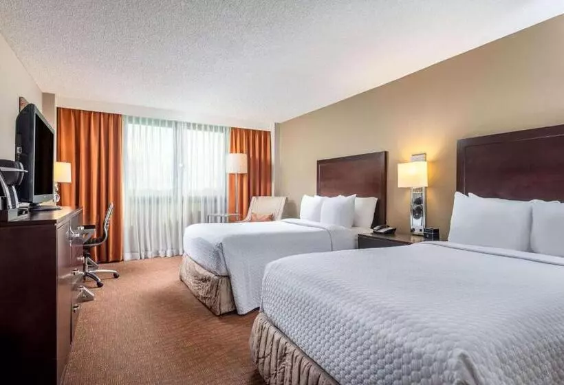 キングサイズベッドのデラックスルーム, Sonesta Miami Airport
